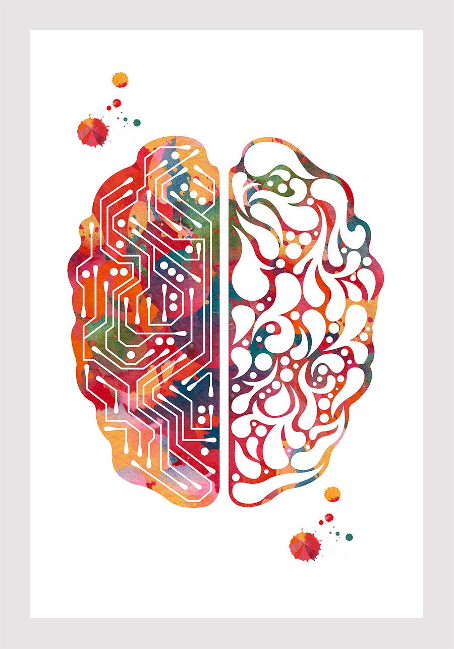 Color brain. Творческий мозг. Креативный мозг. Мозг абстракция. Мозг иллюстрация.